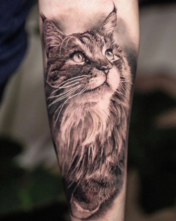 Cosmic and Celestial Cat Tattoo Designs