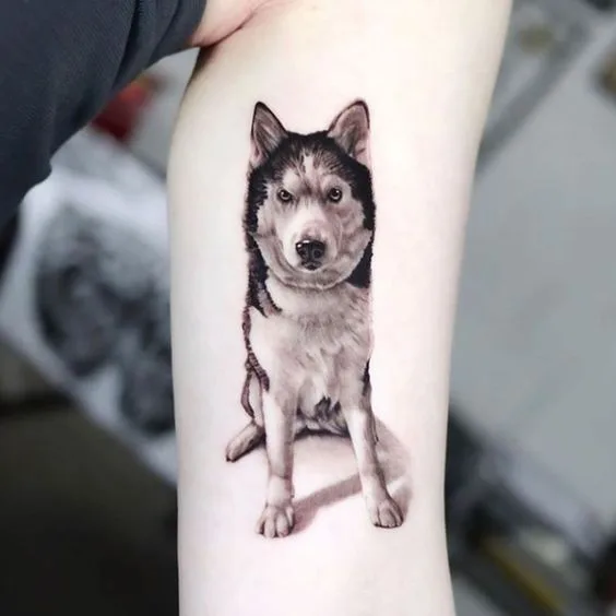 Husky Tattoo Design Ideas