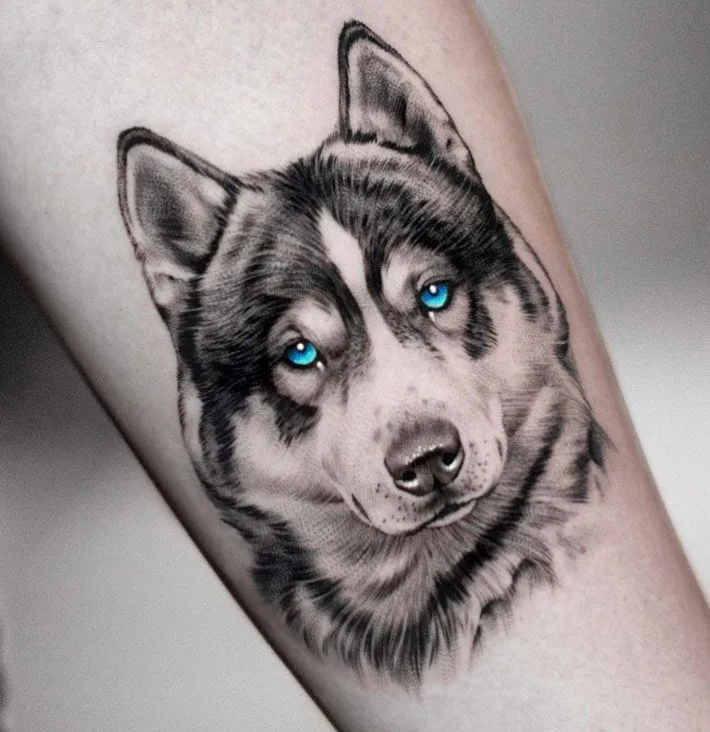 Features of Traditional Husky Tattoos
